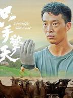 电影一柱擎天完整版